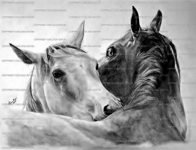 Mutual Devotion